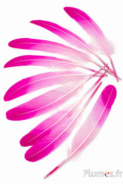 Zwaan zijde - 25-30 cm - roze-fuchsia